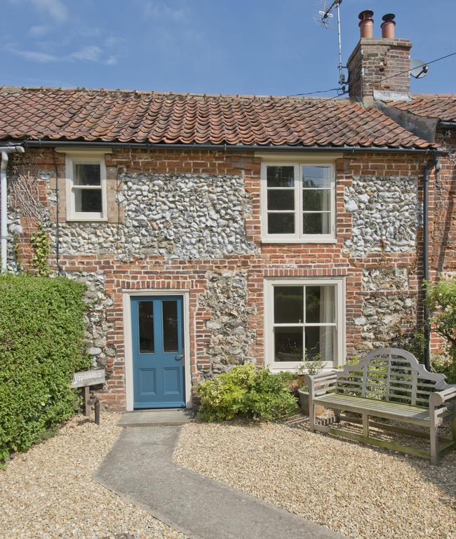 Japonica * East Rudham